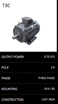 T3C Cast Iron Electric Motor