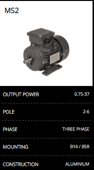 MS 2 Aluminium Motor