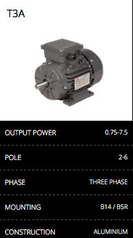 T3A Electric Motor
